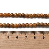 Natural Maifanite/Maifan Stone Beads Strands G-P451-01C-B-5