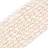 Natural Cultured Freshwater Pearl Beads Strands PEAR-F020-08-2