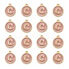 Golden Plated Alloy Enamel Charms X-ENAM-S118-07C-2