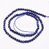 Natural Lapis Lazuli Beads Strands X-G-G545-18-2