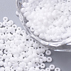 11/0 FGB Grade A Round Glass Seed Beads SEED-N001-A-743-1