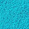 MIYUKI Round Rocailles Beads SEED-X0055-RR4480-3