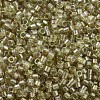 MIYUKI Delica Beads X-SEED-J020-DB1766-3
