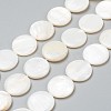 Natural Freshwater Shell Beads BSHE-I011-01A-02-1