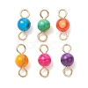 Dyed Natural Freshwater Shell Round Links Connector Charms PALLOY-JF05445-01-1