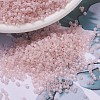 MIYUKI Delica Beads SEED-MY11-DB0868-1
