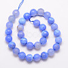 Natural Agate Bead Strands G-K166-07F-12mm-2