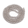 Glass Beads Strands EGLA-A044-J4mm-D10-3