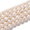 Natural Cultured Freshwater Pearl Beads Strands PEAR-L033-93-1