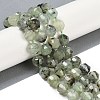 Natural Prehnite Beads Strands G-O201B-144H-1