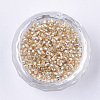 Glass Cylinder Beads SEED-Q036-01A-A08-2