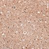 Transparent Glass Beads EGLA-M030-02A-NA01-2