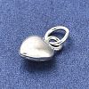 925 Sterling Silver Pendants STER-P057-07A-S-2