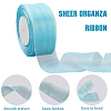 1 Rolls Sheer Organza Ribbon SRIB-CY0001-22C-12-3