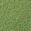 TOHO Round Seed Beads SEED-JPTR15-0945-2