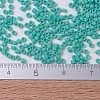 MIYUKI Delica Beads X-SEED-J020-DB0759-4