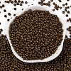 8/0 Baking Paint Glass Seed Beads X1-SEED-M012-02A-53-2