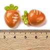 Resin Cabochons X1-CRES-Z010-03E-3