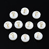 Natural Freshwater Shell Beads SHEL-S278-036F-1