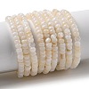 Natural Freshwater Shell Beads Strands SHEL-P017-01B-02-1