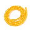 Dyed Natural Freshwater Shell Beads Strands SHEL-T020-56B-2