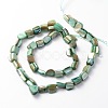 Irregular Natural Sea Shell Beads Strands SSHEL-X0001-2