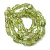 Natural Peridot Beads Strands G-H346-A01-01-3