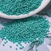 MIYUKI Delica Beads SEED-X0054-DB0759-1