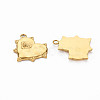 Ion Plating(IP) 304 Stainless Steel Pendants LS-STAS-N097-088LG-NR-2
