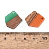 Opaque & Transparent Resin & Walnut Wood Pendants RESI-N053-35-4