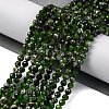 Natural Diopside Beads Strands G-G188-B14-02-2