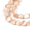 Natural Trochid Shell/Trochus Shell Beads Strands SSHEL-N040-13-3