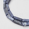 Natural Sodalite Beads Strands X-G-G968-D02-3