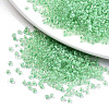 8/0 Glass Seed Beads X1-SEED-A014-3mm-135-1