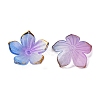 Transparent Acrylic Bead Caps TACR-P011-03E-2
