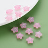 Transparent Acrylic Beads MACR-S373-26E-08-6