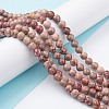 Natural Maifanite/Maifan Stone Beads Strands G-P451-01A-A-2