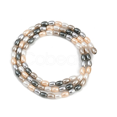 Electroplated Shell Pearl Beads Strands BSHE-H113-06B-03-1