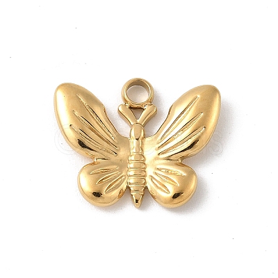 304 Stainless Steel Charms STAS-P388-17G-1
