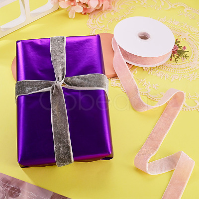 10 Yards Polyester Velvet Ribbon OCOR-TA0004-13B-1