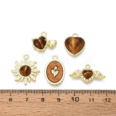 18Pcs 9 Styles Alloy Resin Pendants PALLOY-N185-01G-1