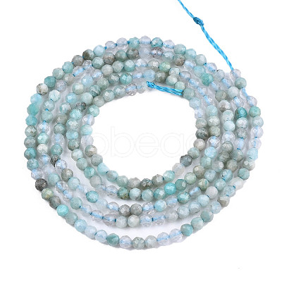 Natural Russia Amazonite Beads Strands G-S300-13-2mm-1
