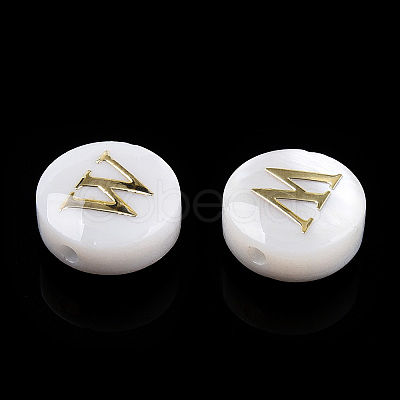 Natural Freshwater Shell Beads SHEL-N036-01W-1