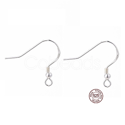925 Sterling Silver Earring Hooks STER-K167-050S-1