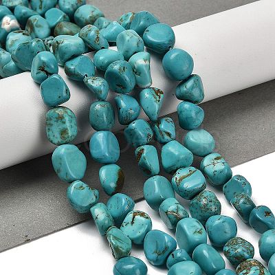 Natural Turquoise Beads Strands X-G-P497-01E-91-1