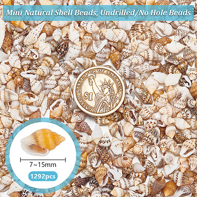 Mini Natural Shell Beads BSHE-PH0001-57A-1