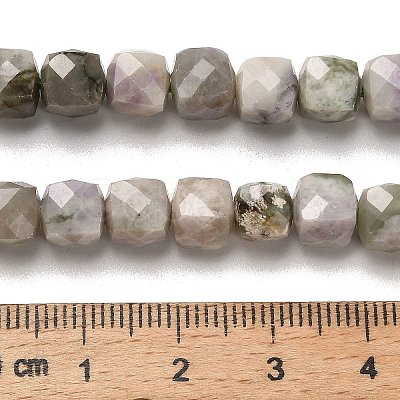 Natural Peace Jade Beads Strands G-H078-C10-01-1