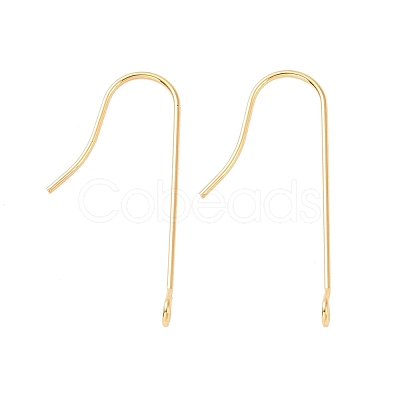 316 Surgical Stainless Steel Earring Hooks STAS-E027-01B-G-1