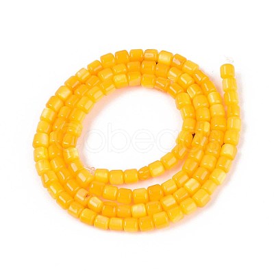Dyed Natural Freshwater Shell Beads Strands SHEL-T020-56B-1