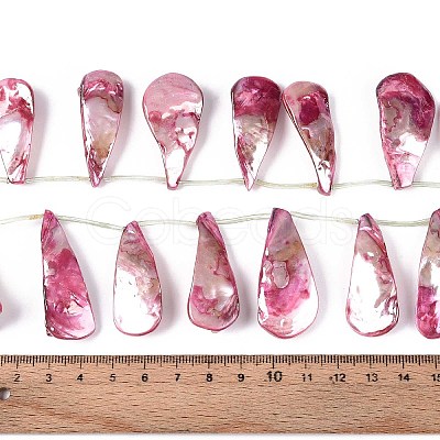 AB Color Plated Dyed Natural Freshwater Shell Beads Strands X-SHEL-T020-55A-1